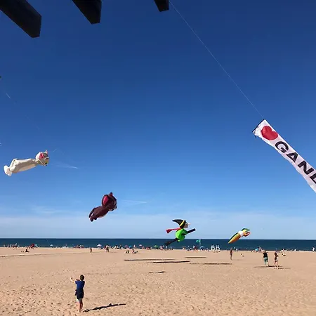 Playa De 1ere Ligne El Galeon Gandía